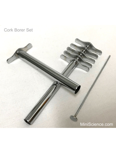 cork-borer-set-with-metal-handles-set-of-6